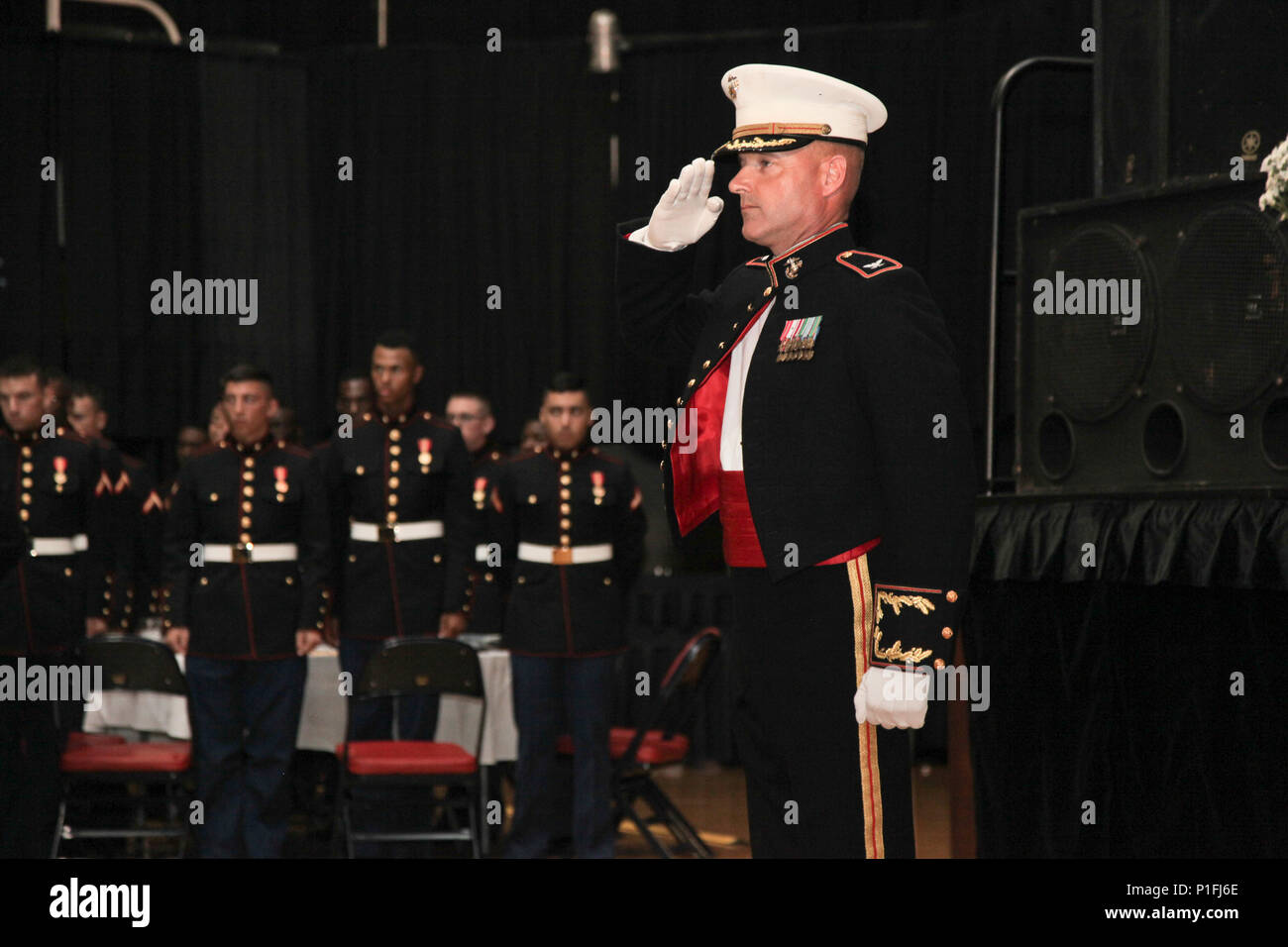 U.S. Marine Corps Col. David P. Grant, commanding officer of Marine Corps Combat Service Support Schools (MCCSSS), renders a salute during the student Marine Corps birthday ball ceremony held at Camp Lejeune, N.C., Oct. 29, 2016. Students from Financial Management School, Ground Supply School, Personnel Administration School, and Logistics Operations School attended their first Marine Corps Ball to celebrate the 241st Marine Corps Birthday. (U.S. Marine Corps photo by Lance Cpl. Jose D. Villalobosrocha) Stock Photo