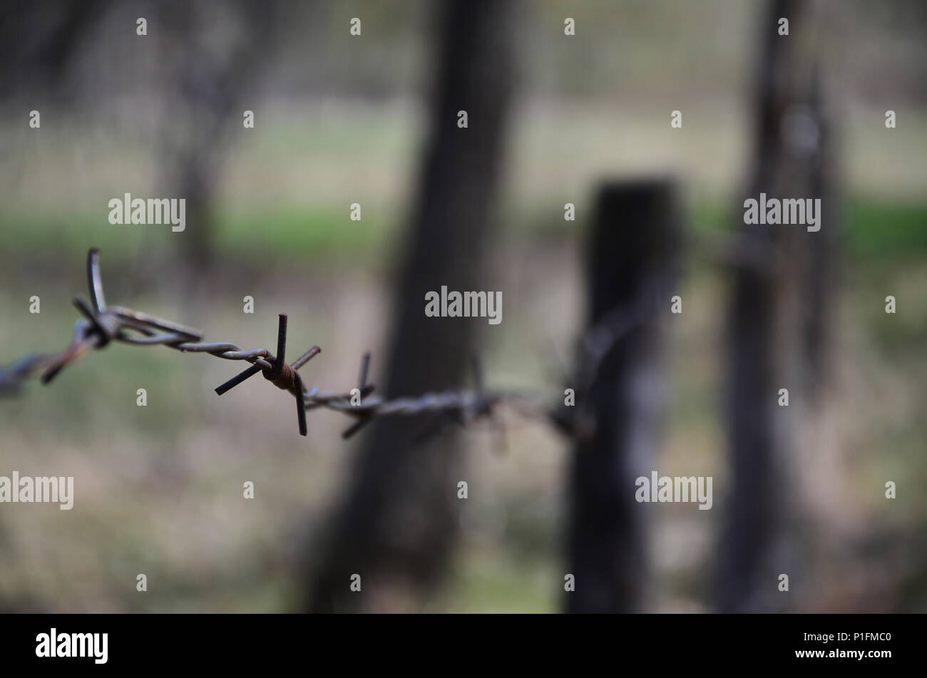Macro shot of an element of old and rusty barbed wire with a blurred ...