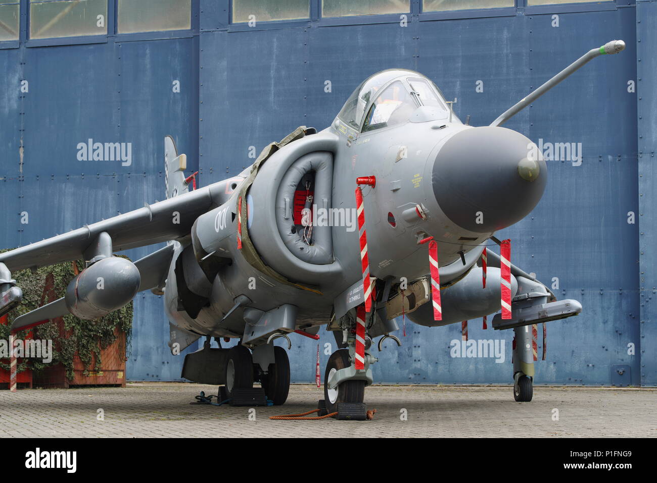 British Aerospace Sea Harrier FA.2 ZH796 at RAF Cosford Stock Photo