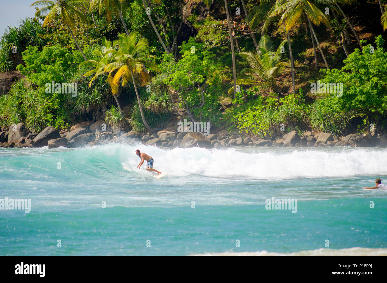 A Surfer Mirissa Sri Lanka Stock Photo 207485870 Alamy