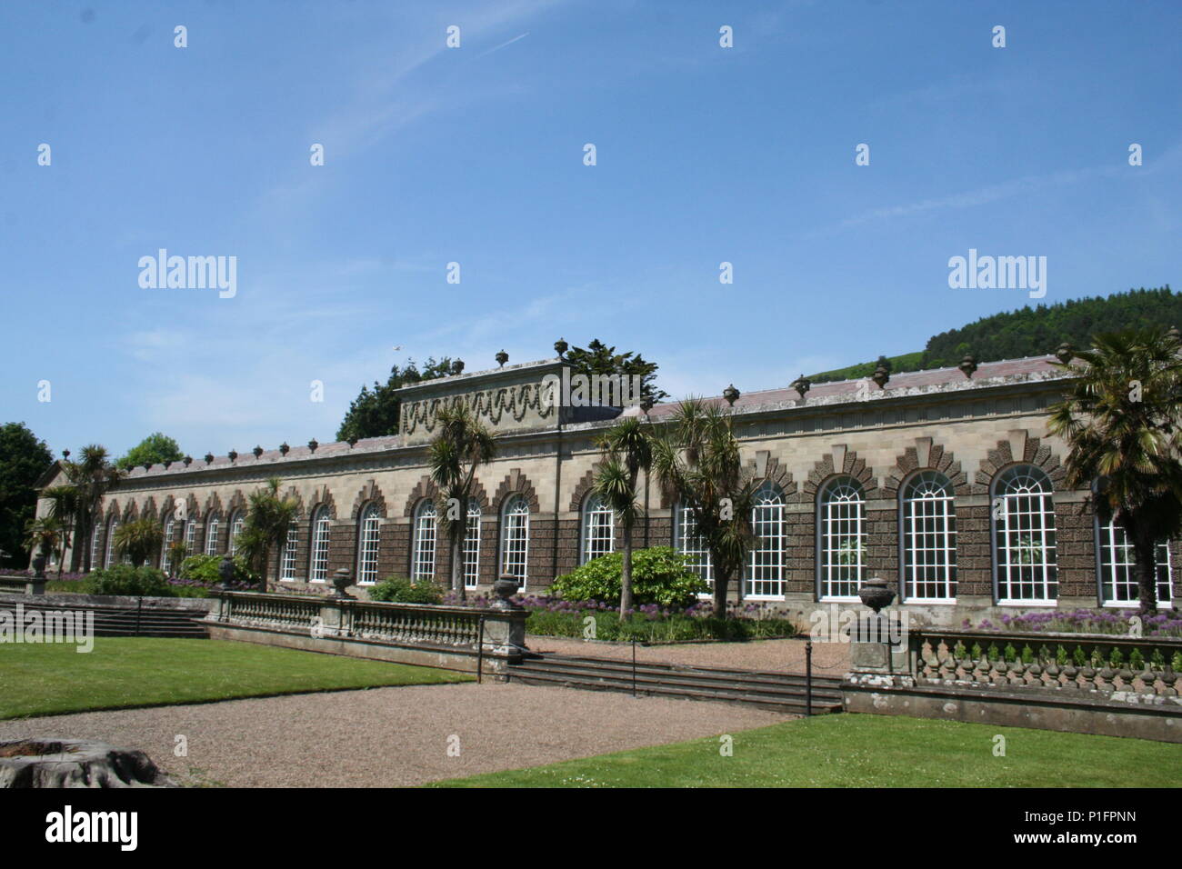 Margam orangery, set in margam country park, port talbot near Swansea Stock Photo