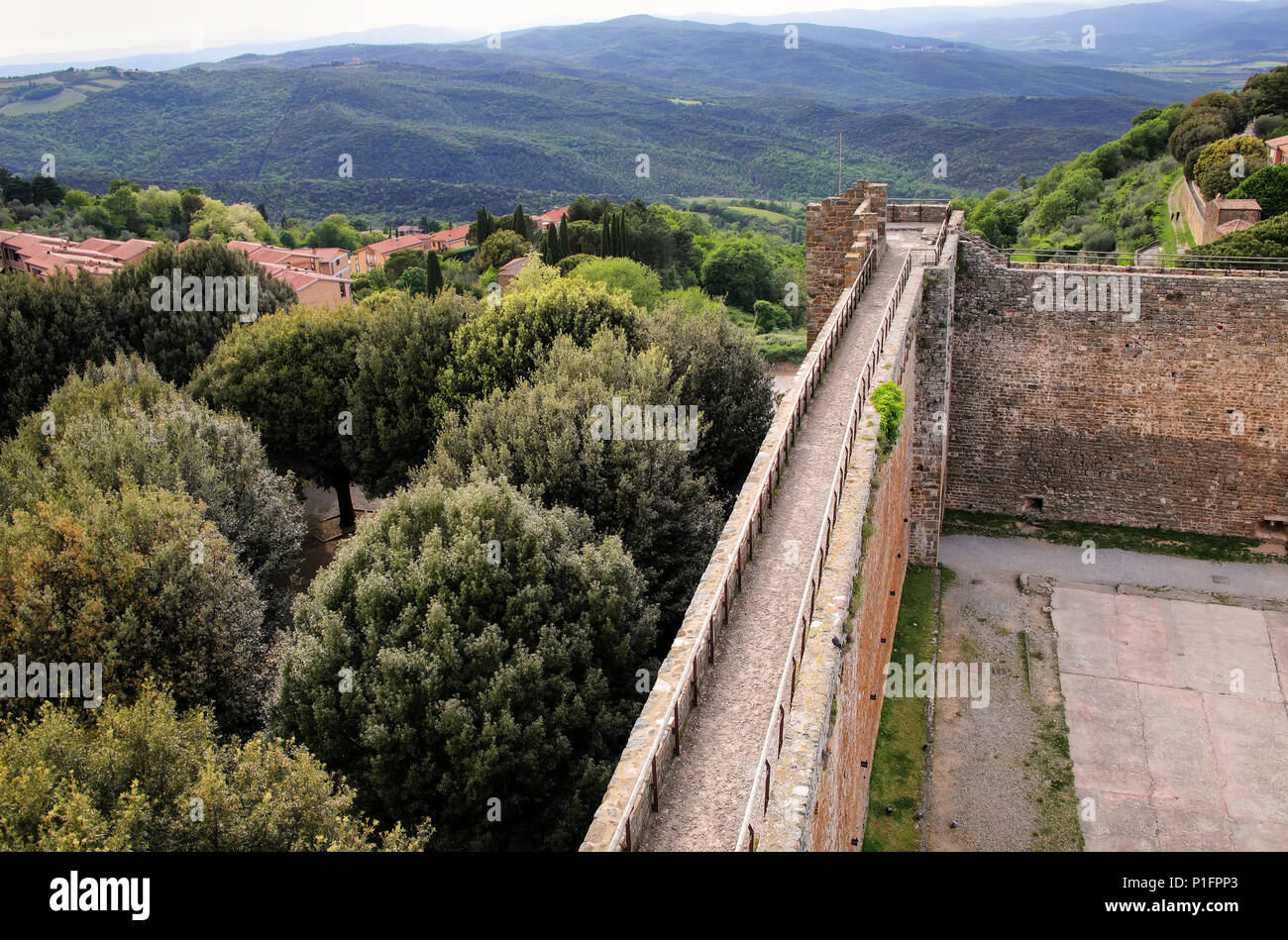 Wall Of Montalcino Fortress And Olive Garden In Val D Orcia