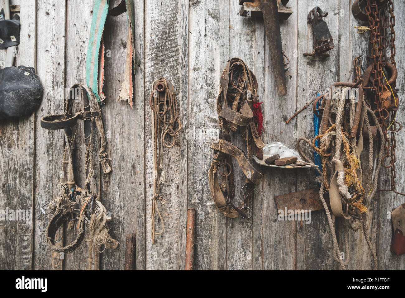Old horse harness hi-res stock photography and images - Alamy