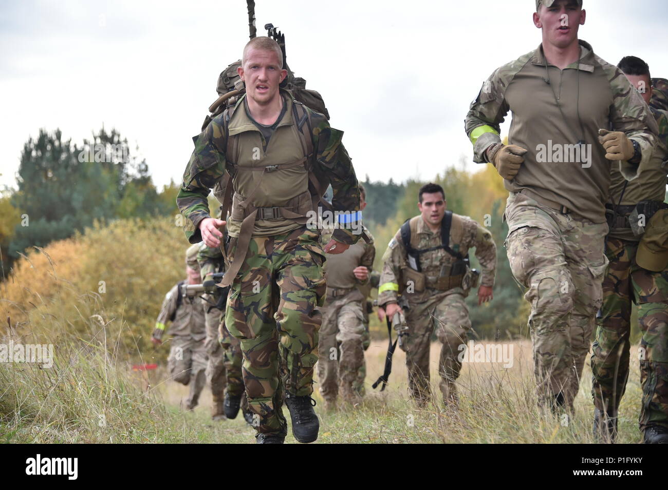 русский дозор сегодня