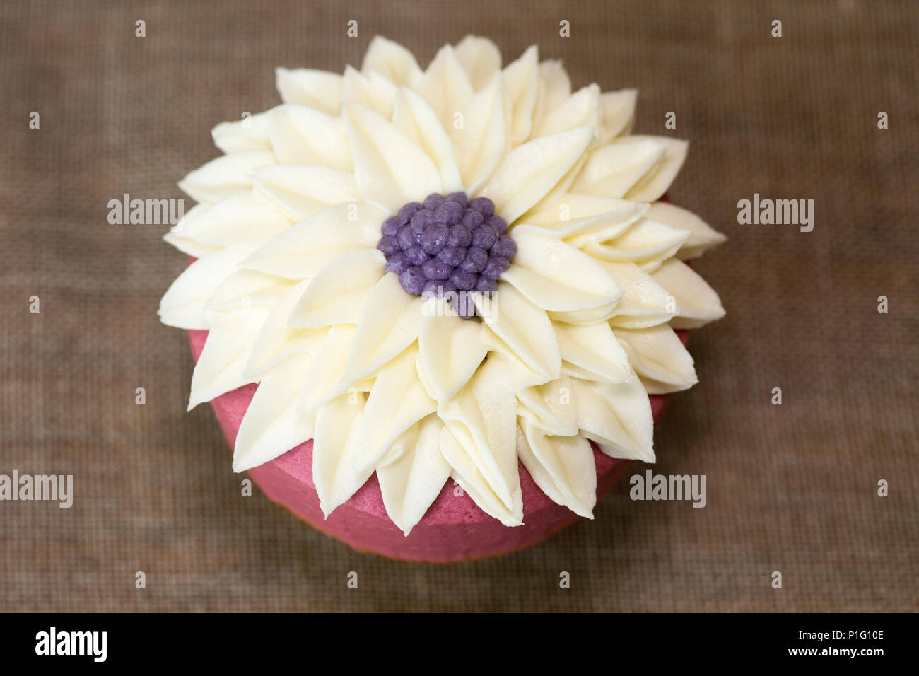 Cupcake with flower design icing Stock Photo