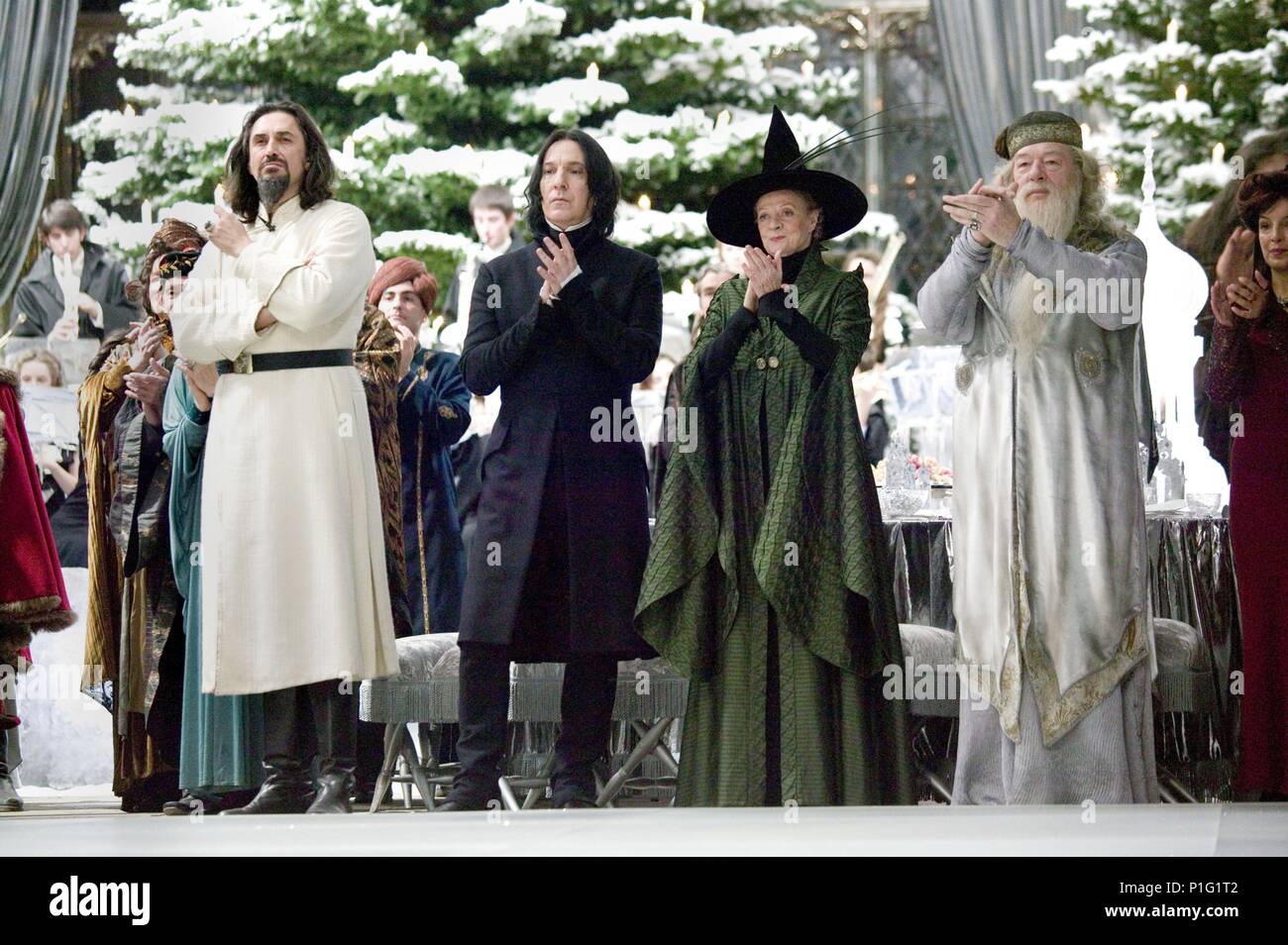 Harry potter and the goblet of fire english sale