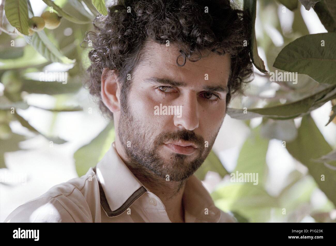 Nashef hires stock photography and images Alamy