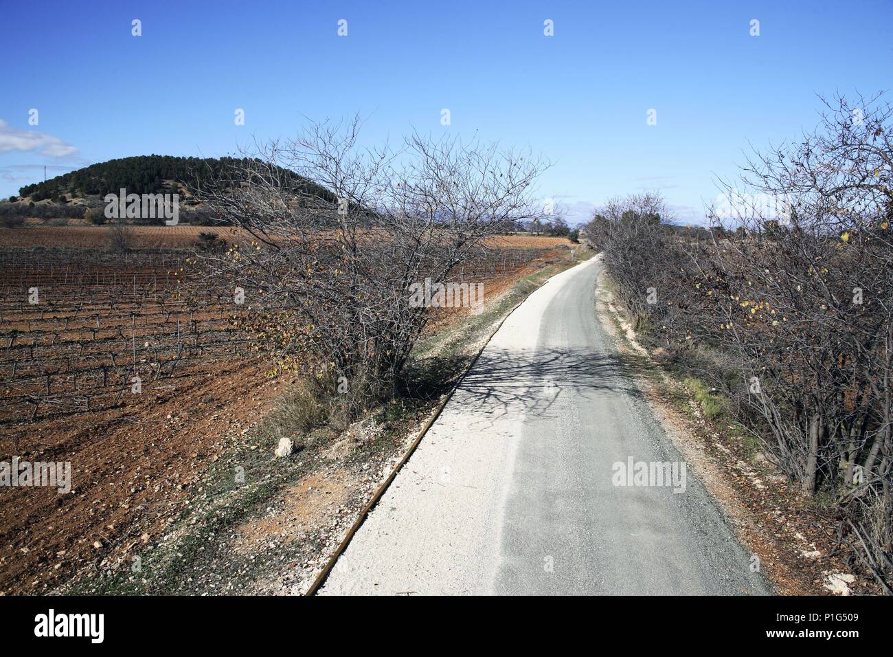 SPAIN - Cuenca de Mula (district) - MURCIA. Bullas; 'Via Verde del Noroeste' que atraviesa paraje con viñedos (antigua línea ferrea reconvertida a camino de turismo activo). Stock Photo