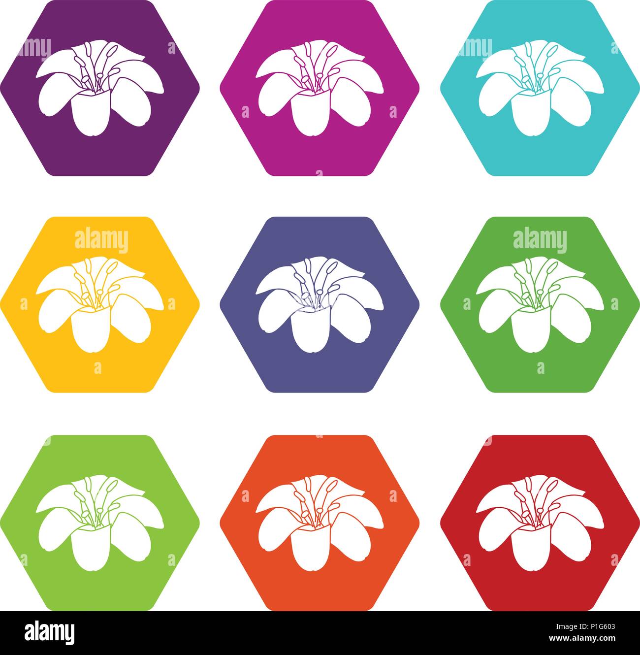 Lily flower icons set 9 vector Stock Vector Image & Art - Alamy