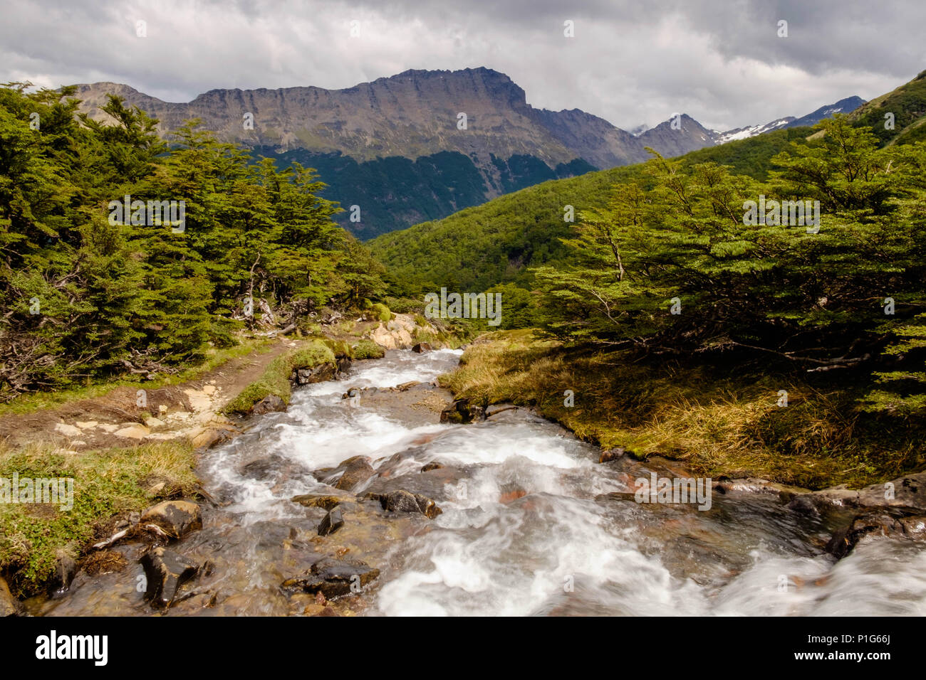 The water of a river descends fast. A bit higher, the river is born out of 'Laguna de los Témpanos, an adventurous hiking destination near Ushuaia. Stock Photo