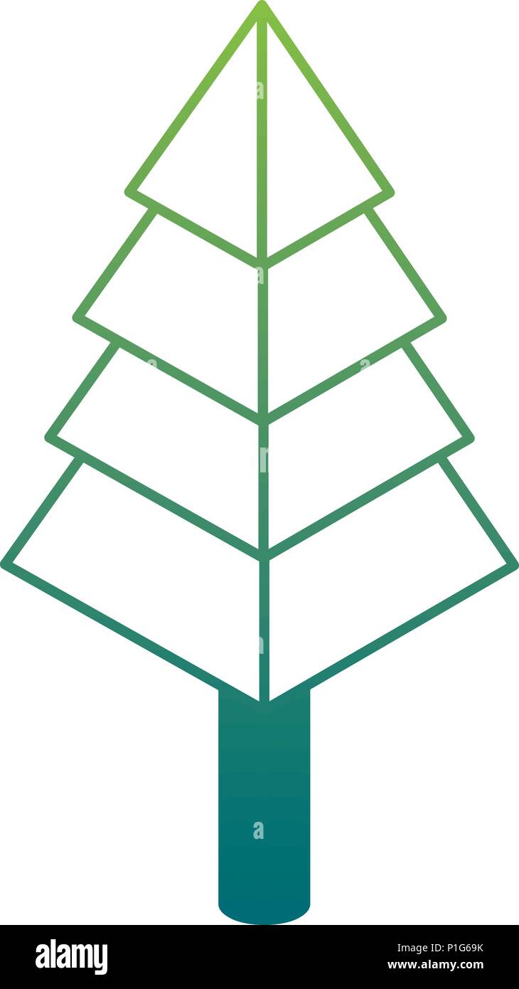 pine tree plant isometric icon Stock Vector
