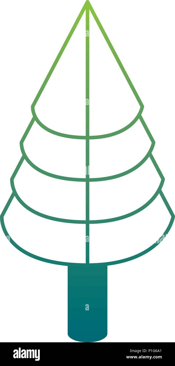pine tree plant isometric icon Stock Vector Image & Art - Alamy
