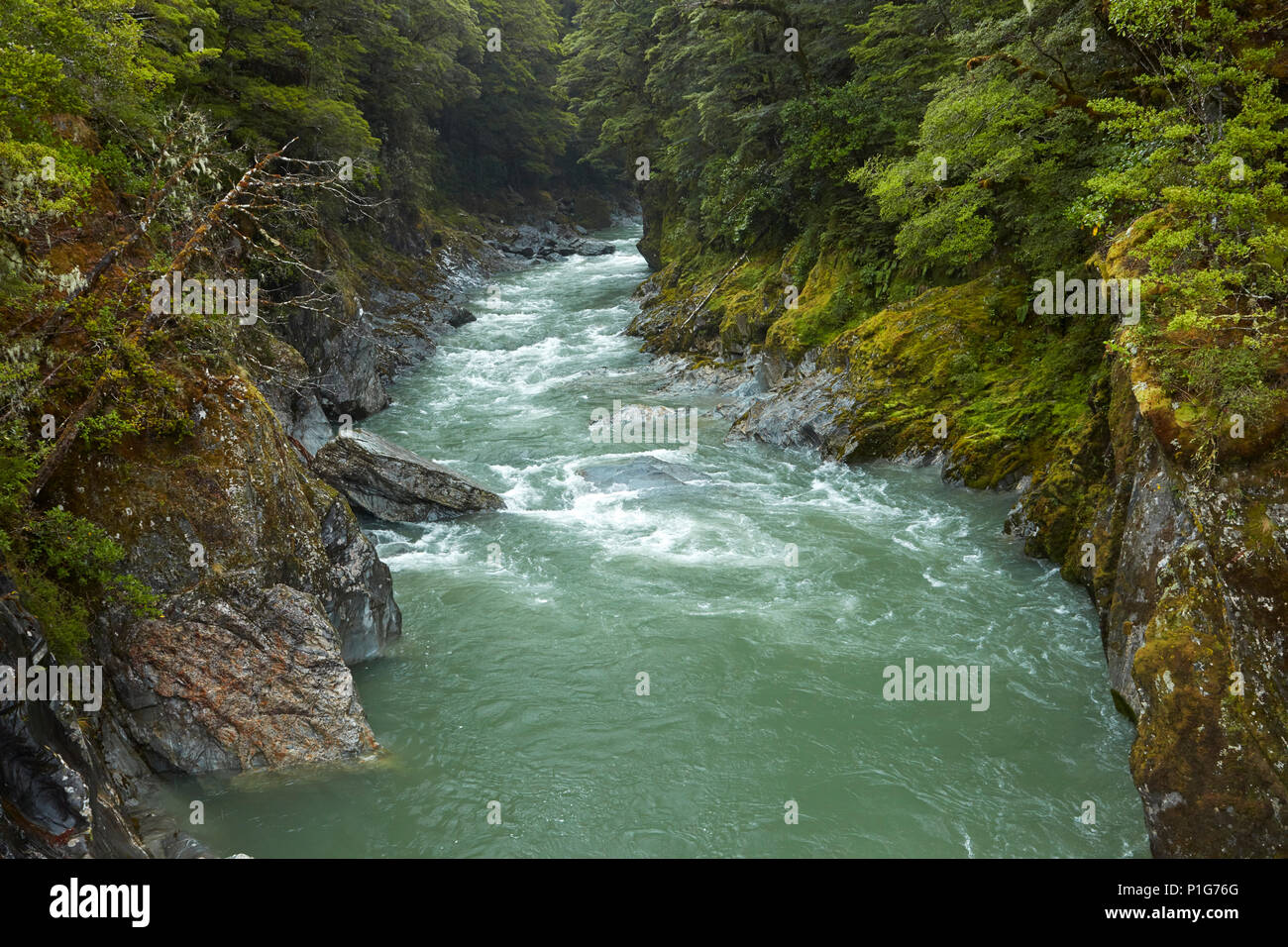 Blue River, Moeraki, North Otago, South Island, New Zealand Stock Photo