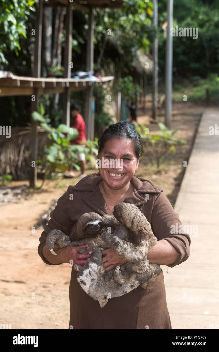 A woman with her 'pet' brown-throated sloths, Bradypus variegatus, San Francisco Village, Loreto, Peru Stock Photo