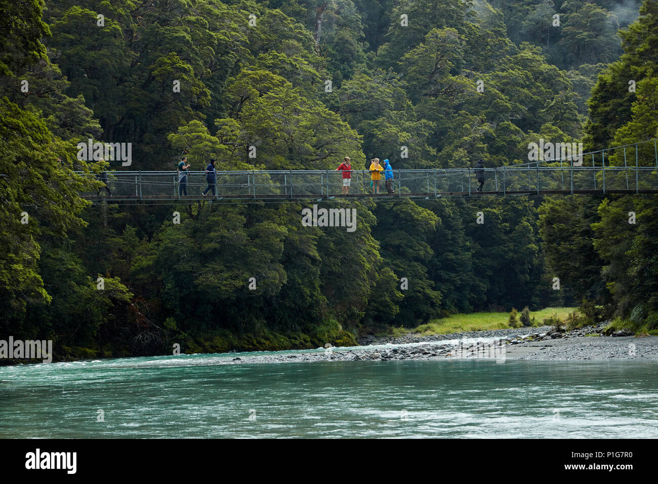 Tourists on footbridge over Makarora River, Blue Pools, Mount Aspiring National Park, Haast Pass, near Makarora, Otago, South Island, New Zealand Stock Photo