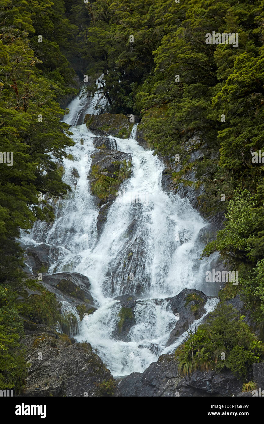 Fantail Falls, Haast Pass, Mt Aspiring National Park, West Coast, South Island, New Zealand Stock Photo