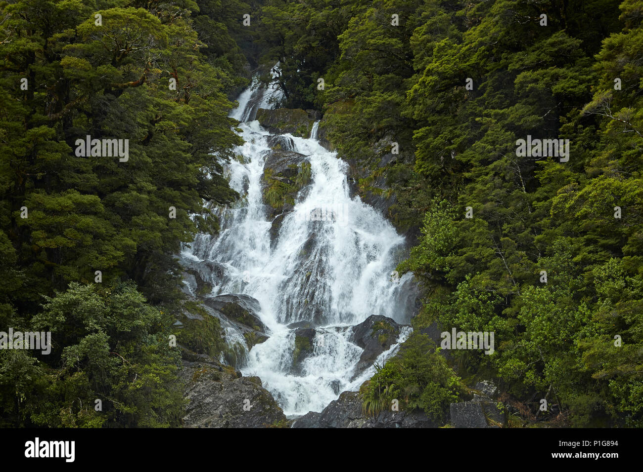 Fantail Falls, Haast Pass, Mt Aspiring National Park, West Coast, South Island, New Zealand Stock Photo