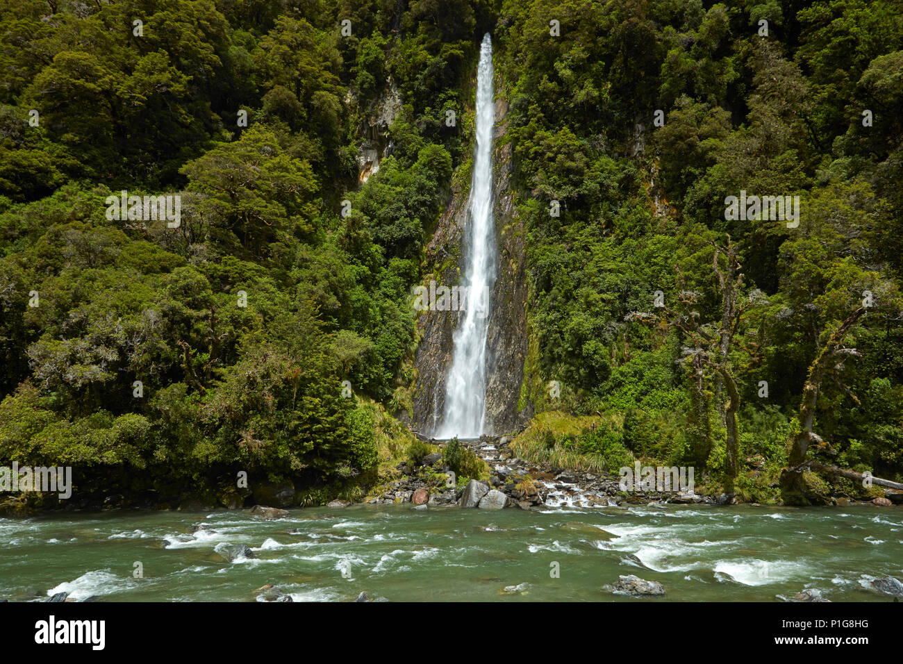 Thunder Creek Falls & Haast River, Haast Pass, Mt Aspiring National Park, West Coast, South Island, New Zealand Stock Photo