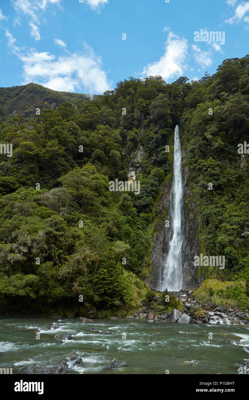 Thunder Creek Falls & Haast River, Haast Pass, Mt Aspiring National Park, West Coast, South Island, New Zealand Stock Photo