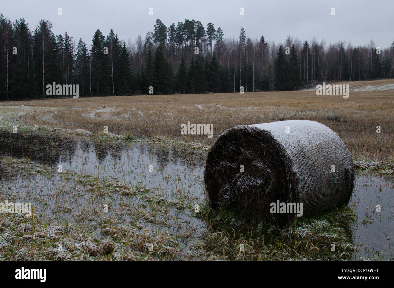 Autumn landscape. Erkylä, Hausjärvi, Finland. 20.11.2017 Stock Photo