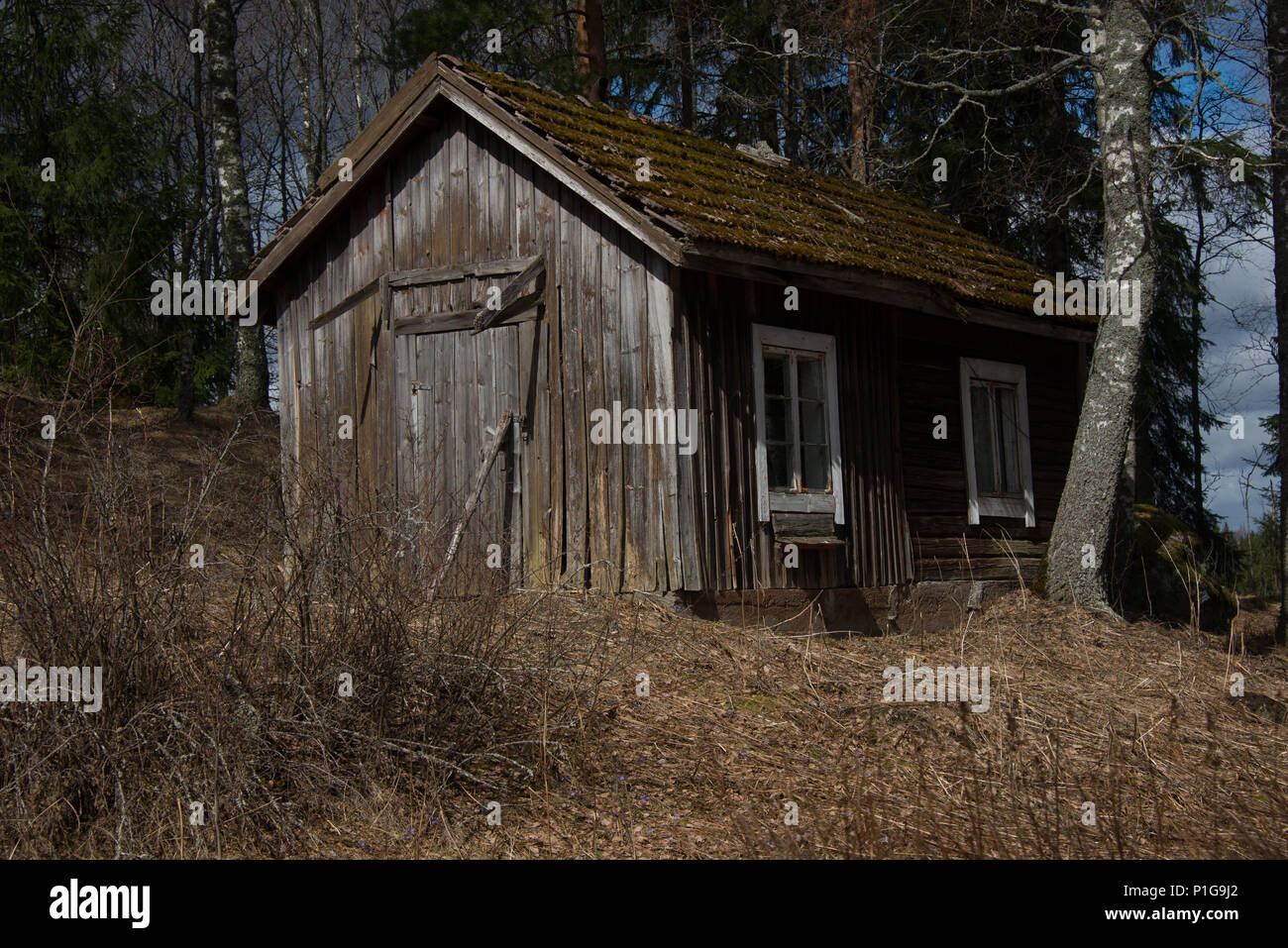 Forlorn. Hausjärvi, Finland. 21.4.2018 Stock Photo