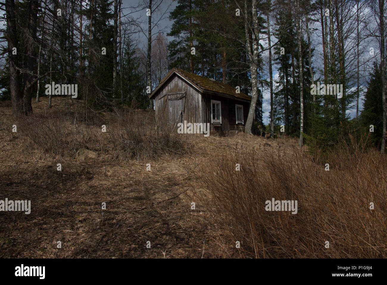 Forlorn. Hausjärvi, Finland. 21.4.2018 Stock Photo