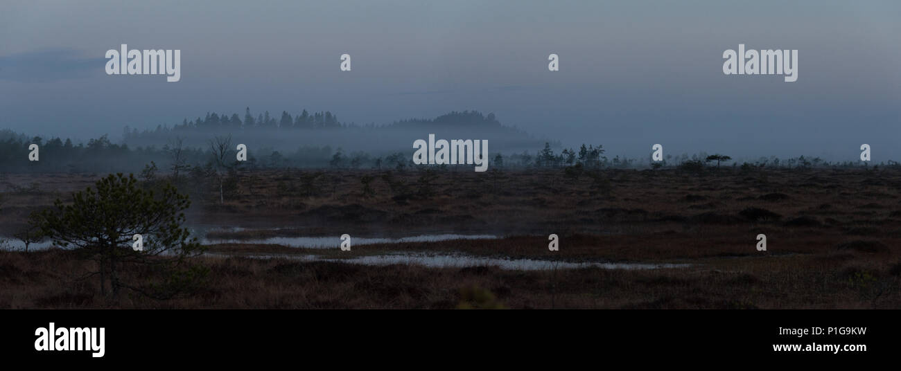 Misty before the sunrise. Torronsuo national park, Tammela, Finland. 7.5.2018 Stock Photo