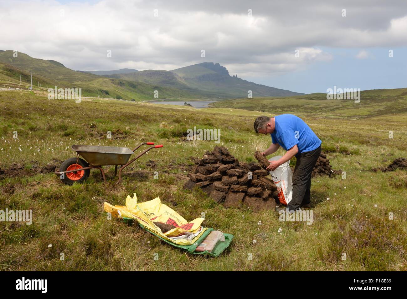 A man bags up sun dried blocks of peat on the Trotternish peninsula of the Isle of Skye in Scotland. 'The Storr' rocky hill provides the backdrop. Stock Photo