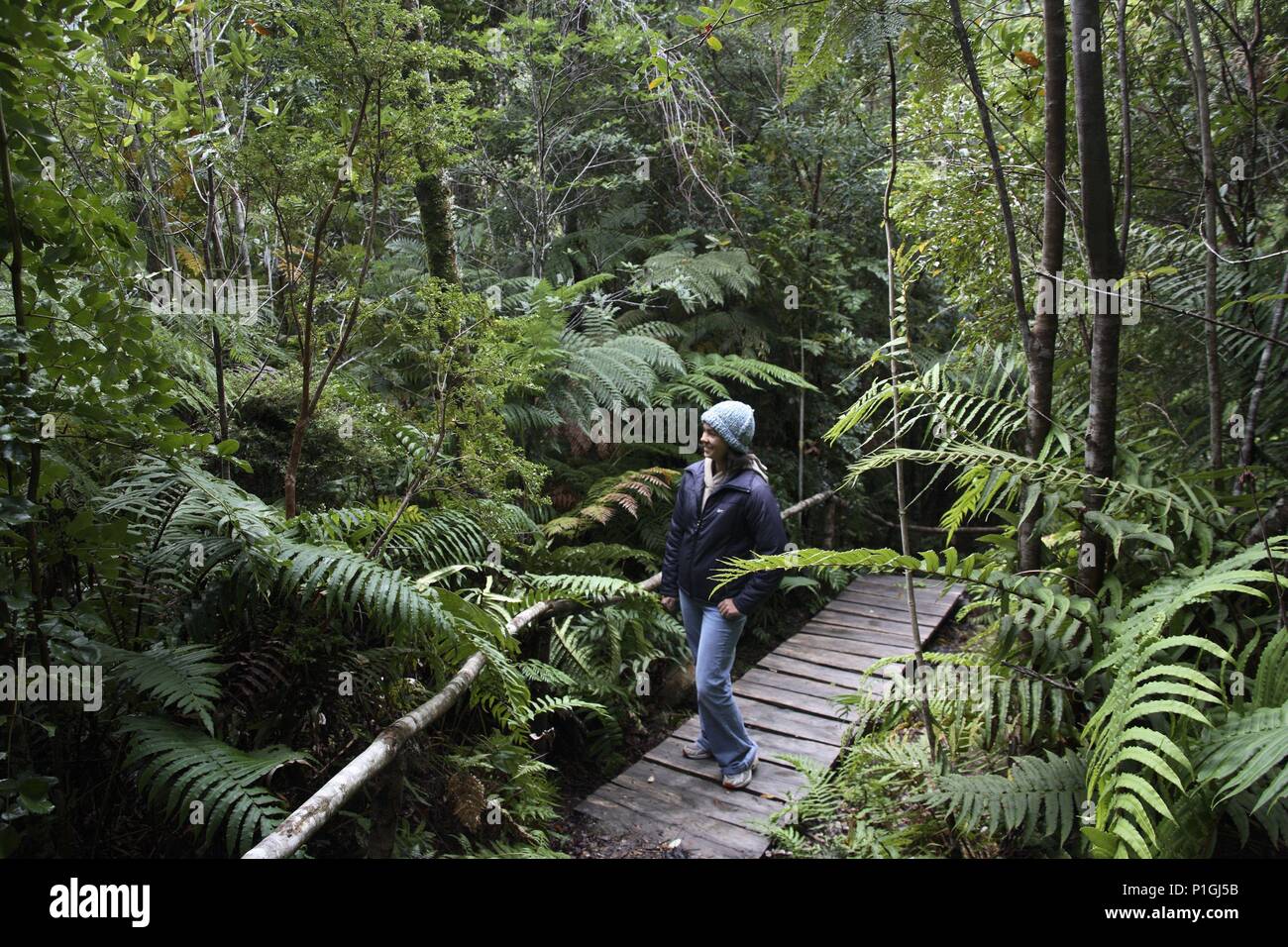 Bosque autóctono en pleno Parque y jóven visitante. Stock Photo