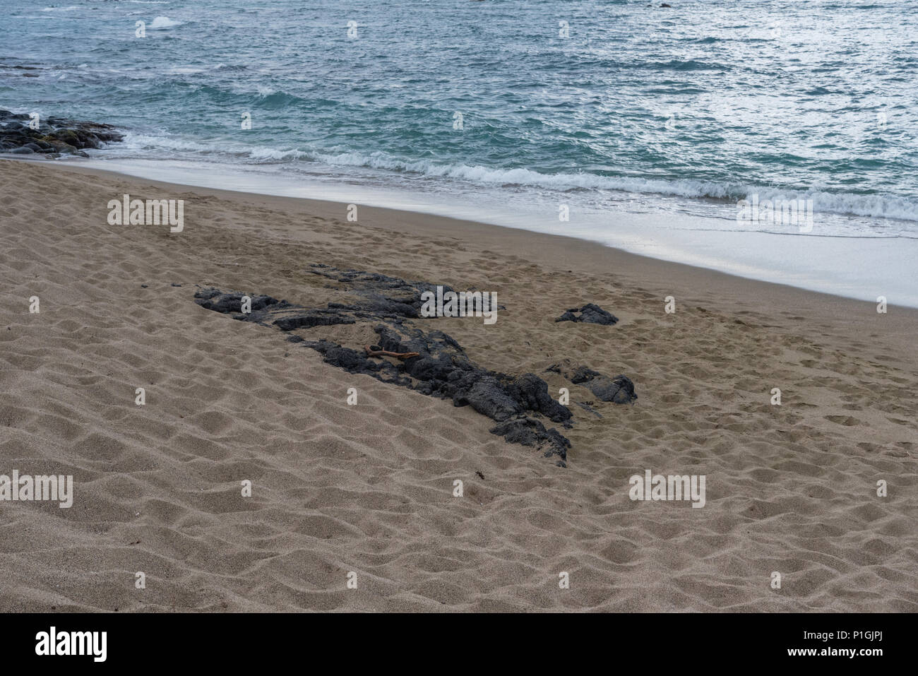 Kohala coast vista on the Big Island of Hawaii with scattered volcanic