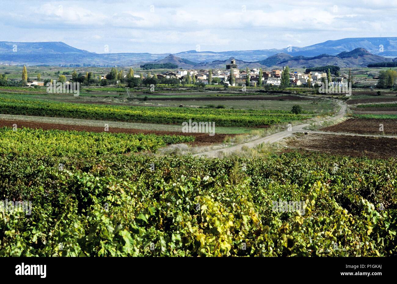 Azofra Azofra hi-res stock photography and images - Alamy