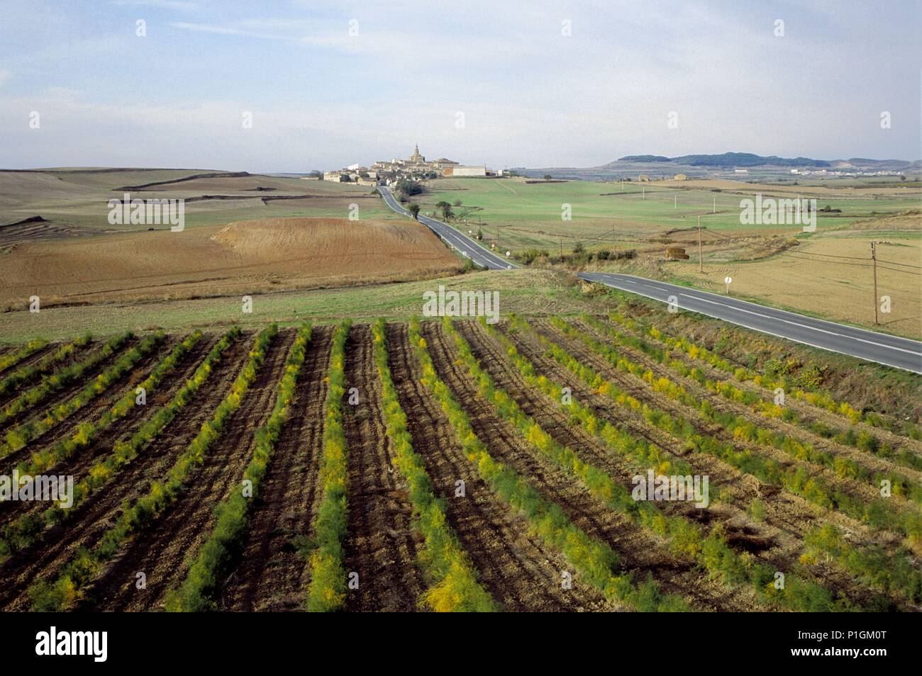 Tierra de cultivos hi-res stock photography and images - Alamy