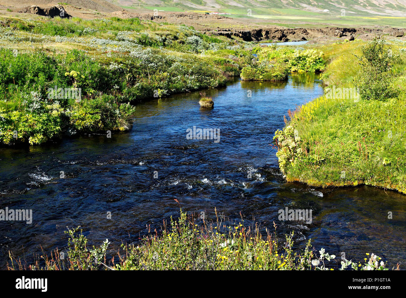 Free Images : rock, water, vacation, countryside, hill, forrest, plant,  green, natural landscape, fluvial landforms of streams, tree, watercourse,  riparian zone, groundcover, sky, mountain river, arroyo, bedrock, jungle,  creek, valley, temperate broadleaf