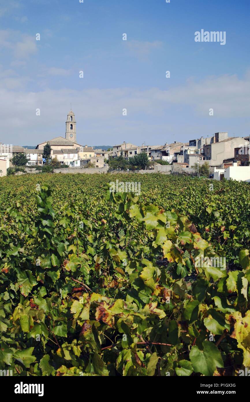 SPAIN - Catalonia - Conca de Barberá  (district) - TARRAGONA. Rocafort de Queralt; vista con viñedos / vinyes. Stock Photo