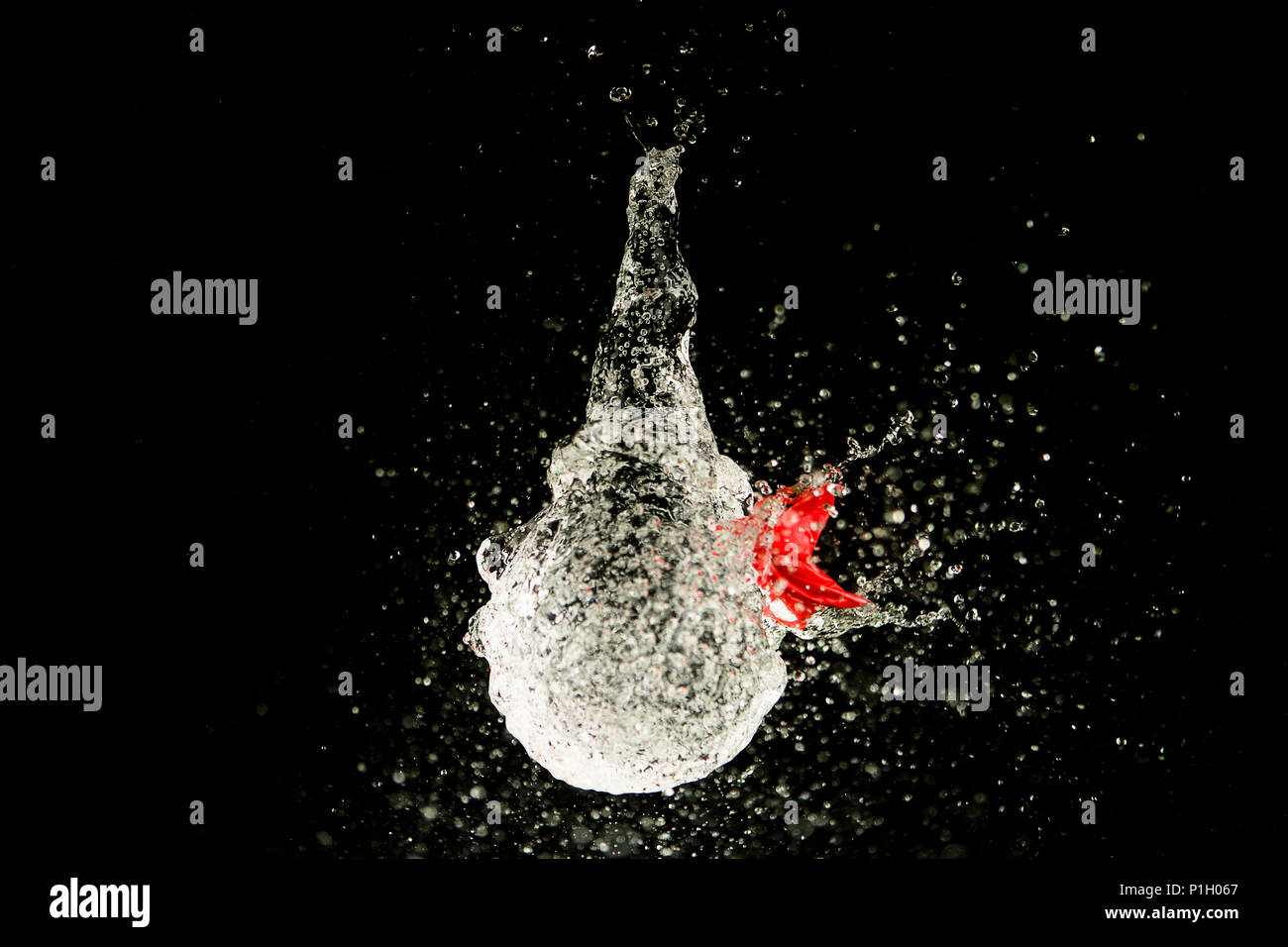 highspeed photograph of a balloon filled with exploding water Stock