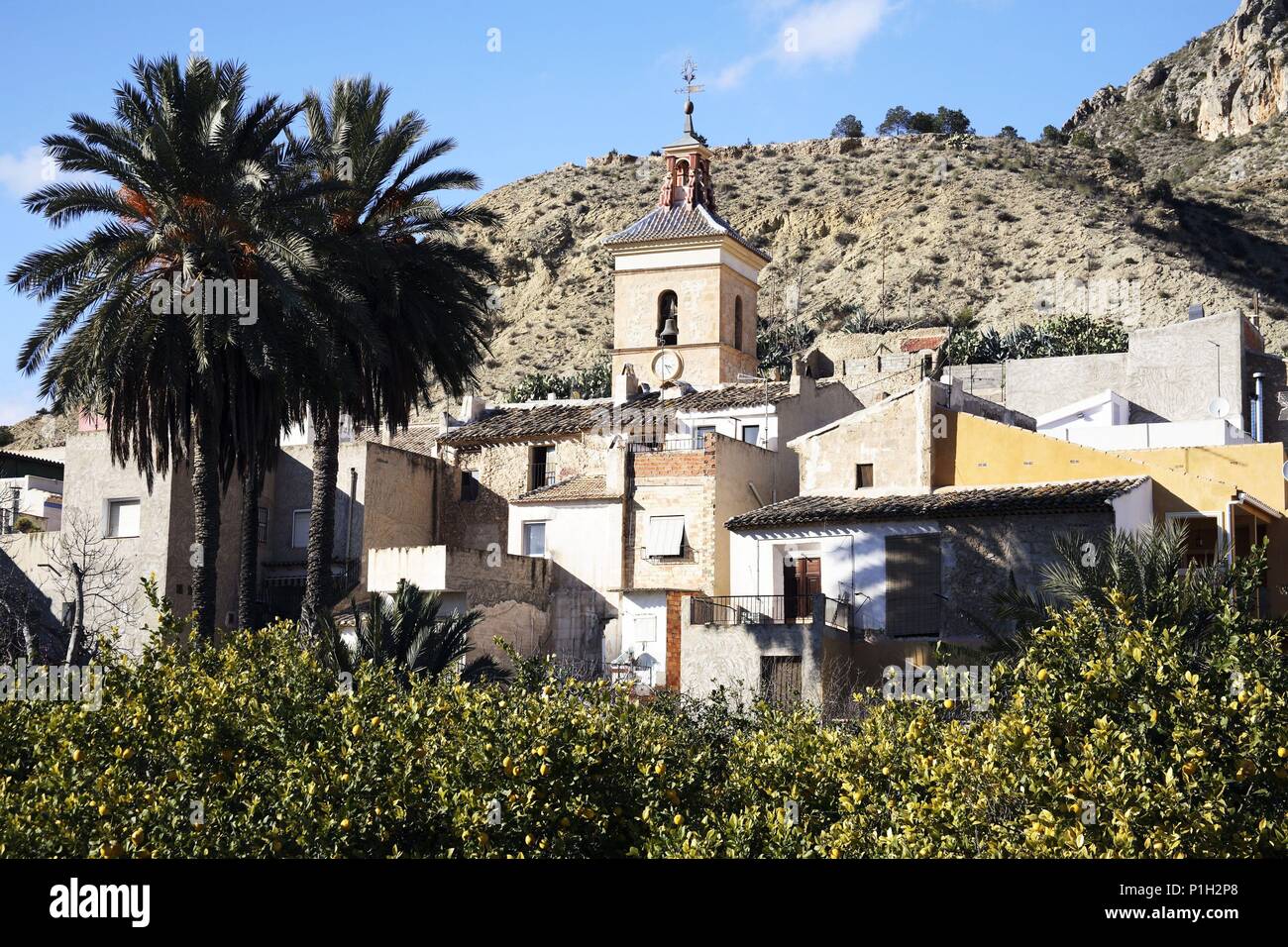 SPAIN - La Vega Alta (district) - MURCIA. Valle de Ricote; pueblo de Ulea con Iglesia y naranjales; al fondo paisaje y montañas desertizadas. Stock Photo