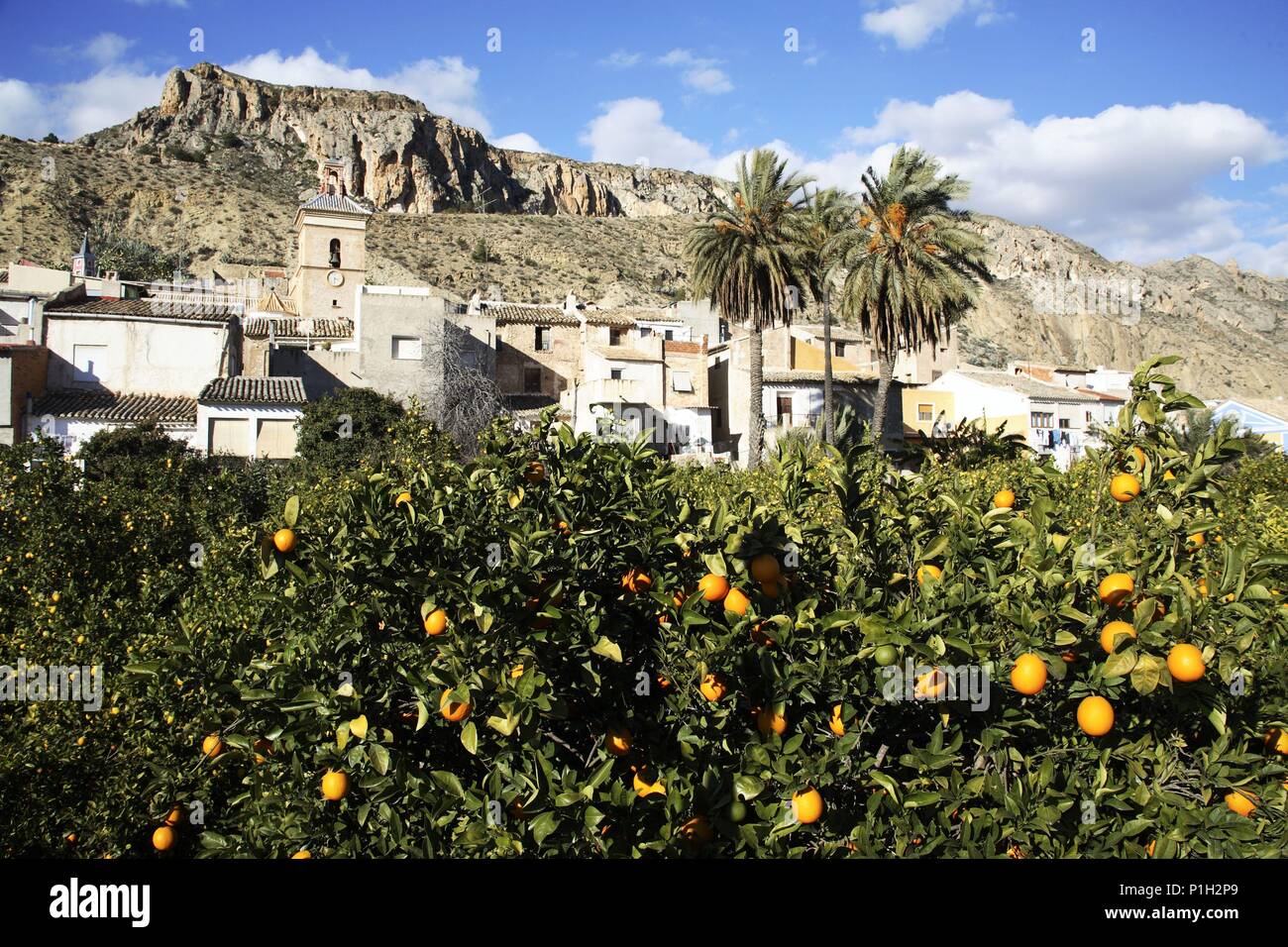 SPAIN - La Vega Alta (district) - MURCIA. Valle de Ricote; pueblo de Ulea con Iglesia y naranjales; al fondo paisaje y montañas desertizadas. Stock Photo