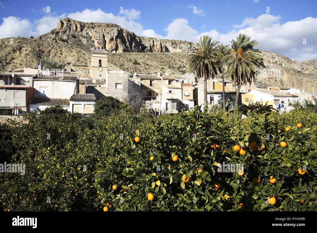 SPAIN - La Vega Alta (district) - MURCIA. Valle de Ricote; pueblo de Ulea con Iglesia y naranjales; al fondo paisaje y montañas desertizadas. Stock Photo