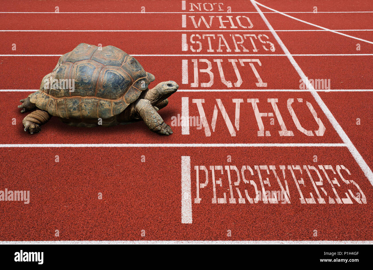Turtle Running Athletic Track Motivational Quote Stock Photo