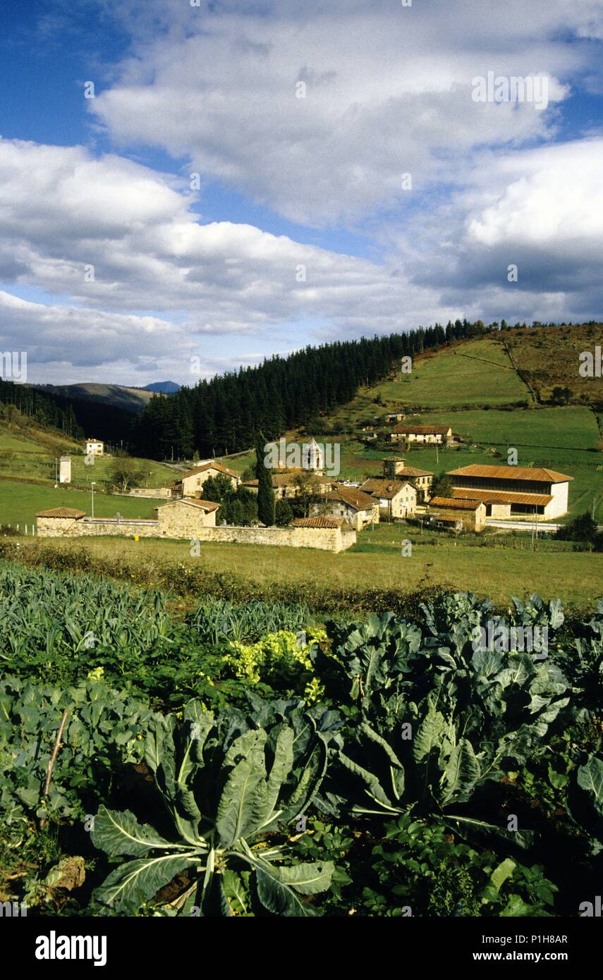 SPAIN - BASQUE COUNTRY - Duranguesado (district) - Biscay. Axpe, paisaje agrícola, Caseríos. Stock Photo