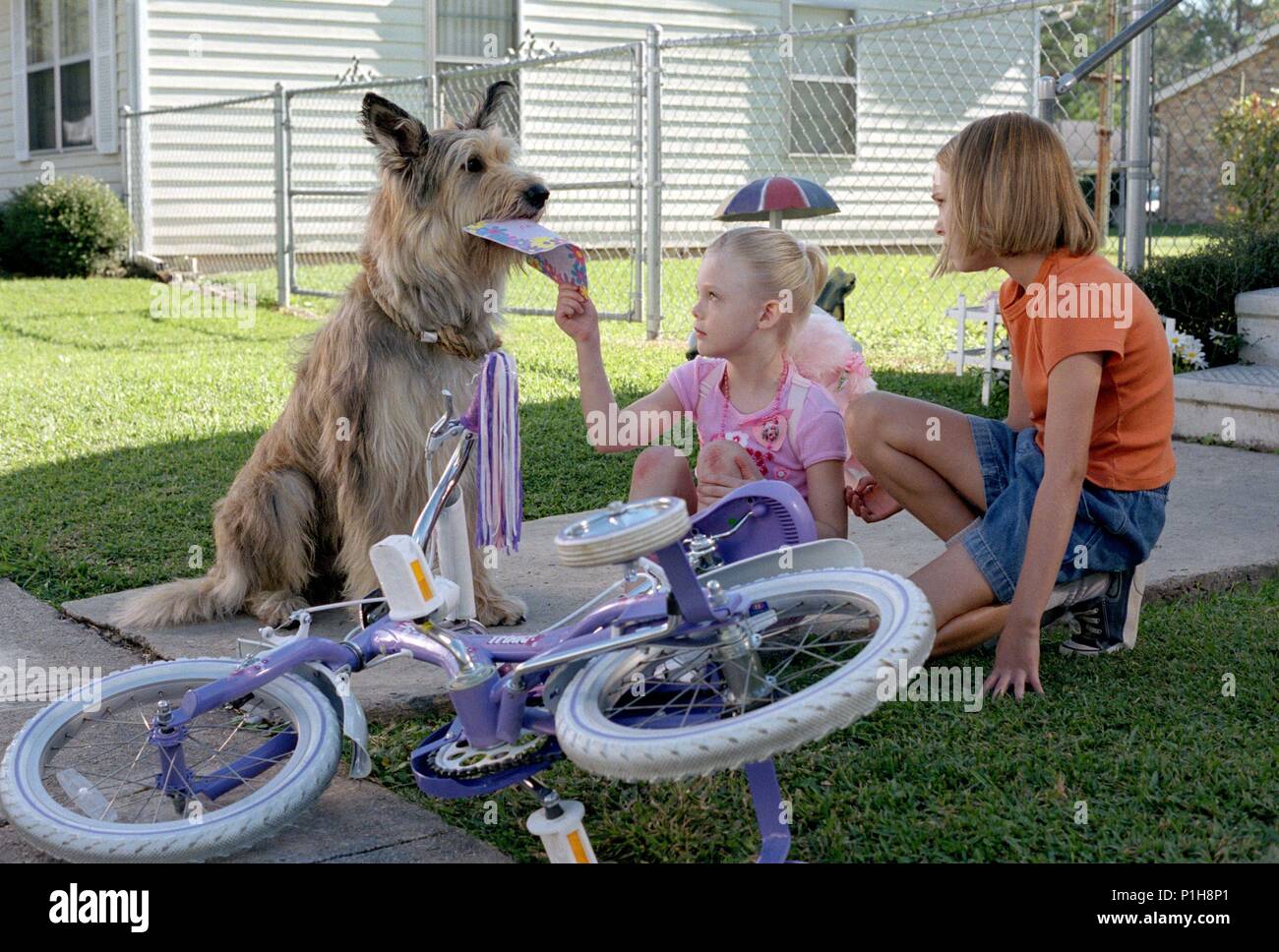 Original Film Title: BECAUSE OF WINN-DIXIE.  English Title: BECAUSE OF WINN-DIXIE.  Film Director: WAYNE WANG.  Year: 2005.  Stars: ANNASOPHIA ROBB; ELLE FANNING. Credit: 20TH CENTURY FOX / TENNER, SUZANNE / Album Stock Photo