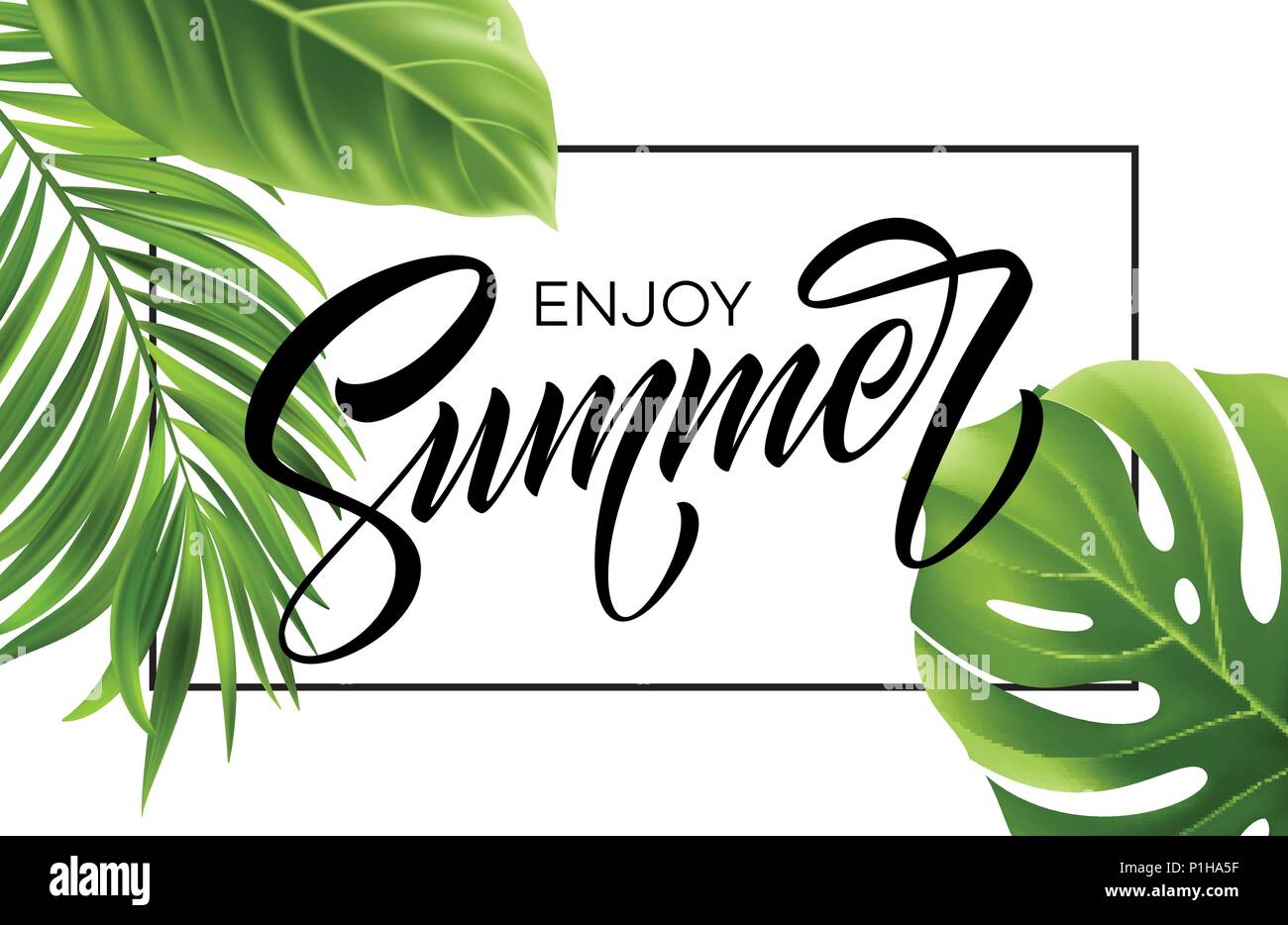 Summer poster with tropical palm leaf and handwriting lettering. Vector ...