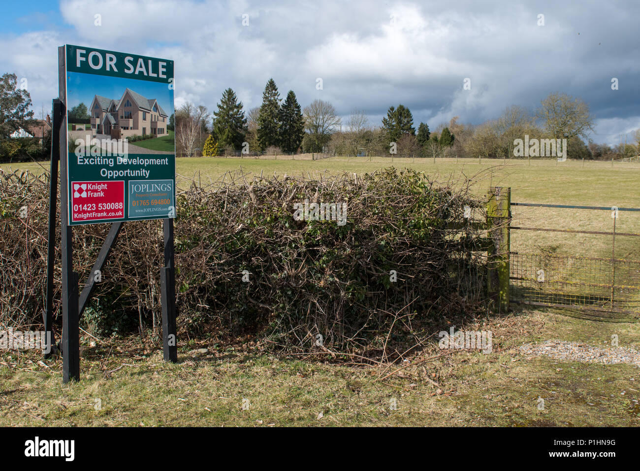 Farmland for sale for housing development in North Yorkshire, UK Stock Photo Alamy