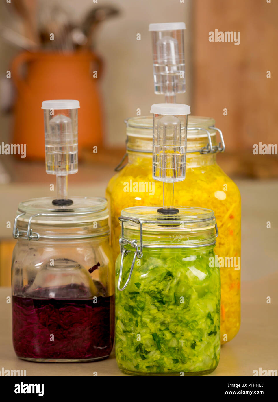 Preparing fermented preserved vegetables. Jars of cabbage kimchi and sauerkraut sour cabbage