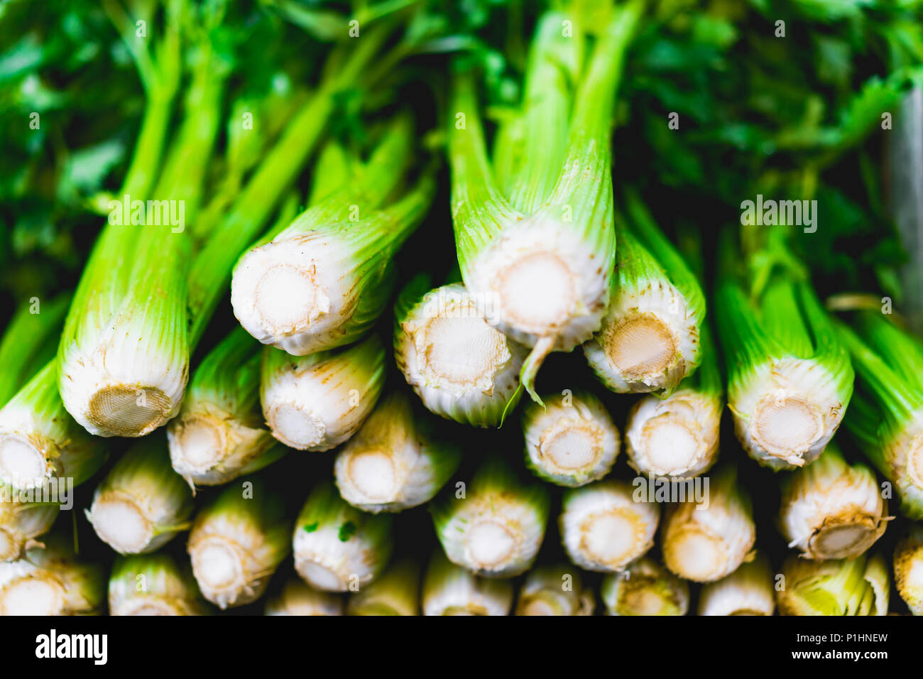 A few different stalks of celery stacked up in a row. Stock Photo