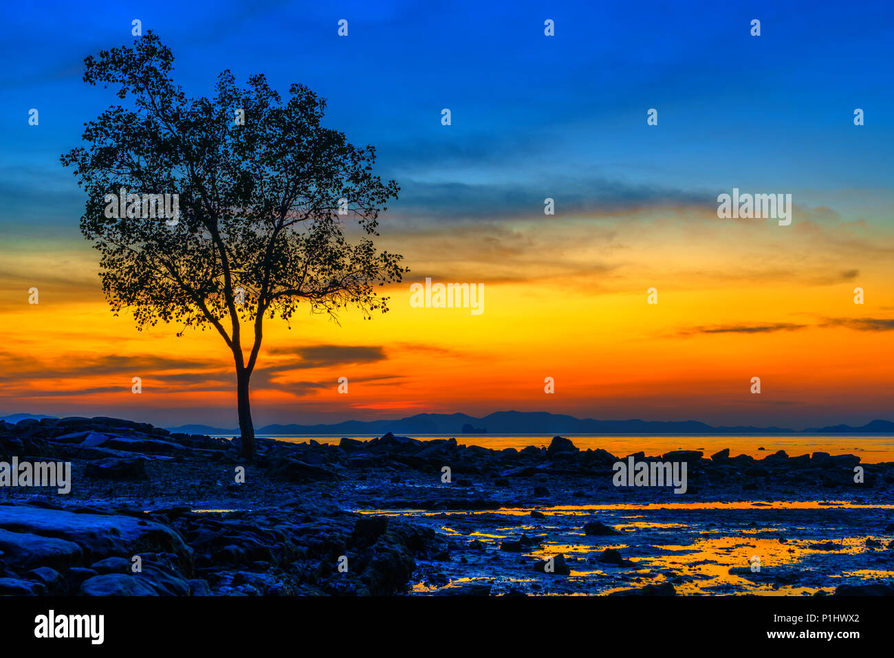 Sunset beach oahu erosion hires stock photography and images Alamy