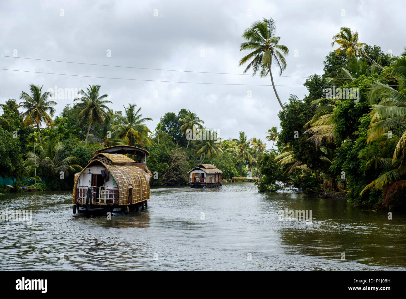 Houseboats navigating the Alappuzha (or Alleppey) backwaters, Kerala ...