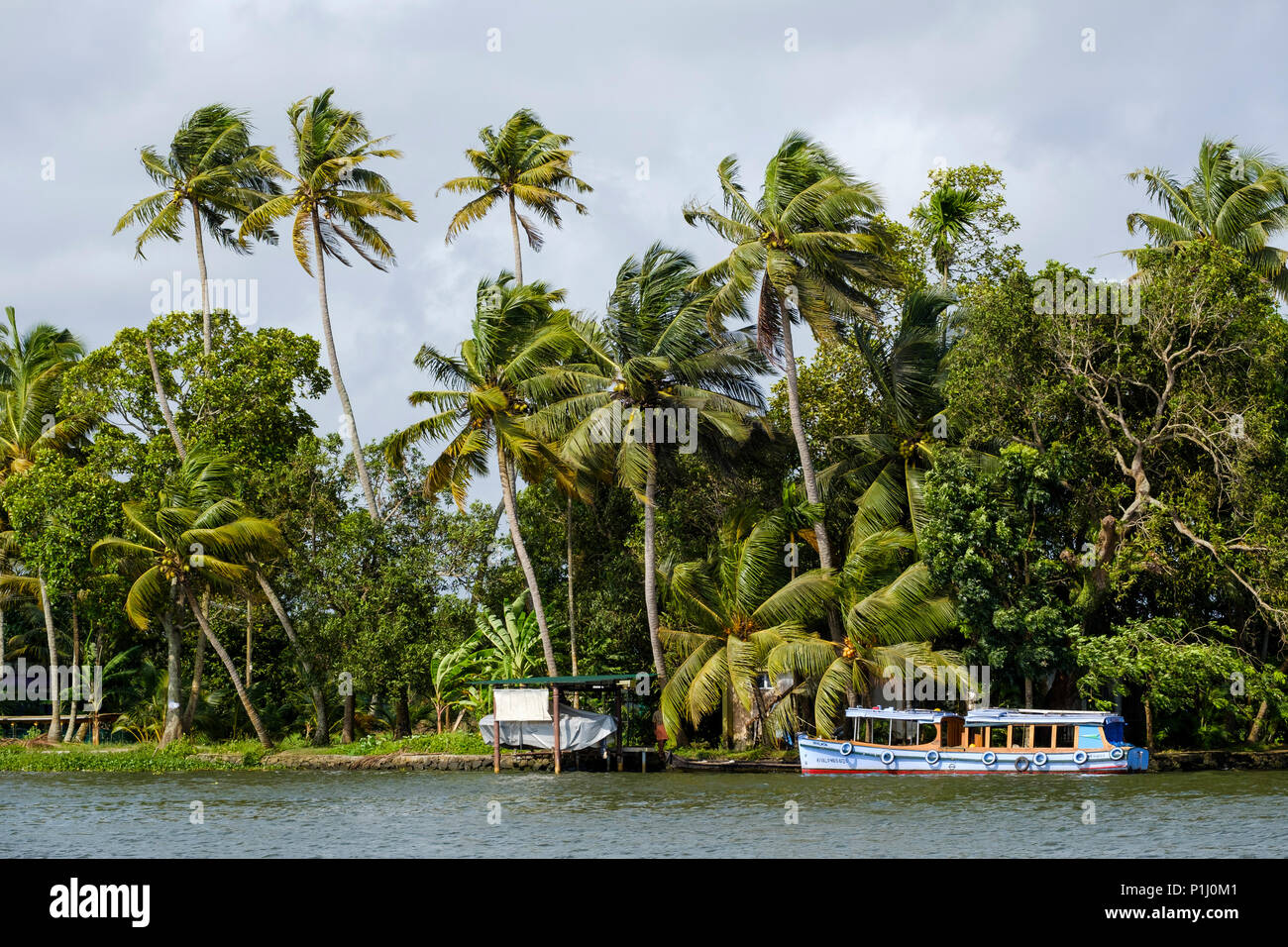 A boat moored in the Alappuzha (or Alleppey) backwaters, Kerala State, India. Stock Photo