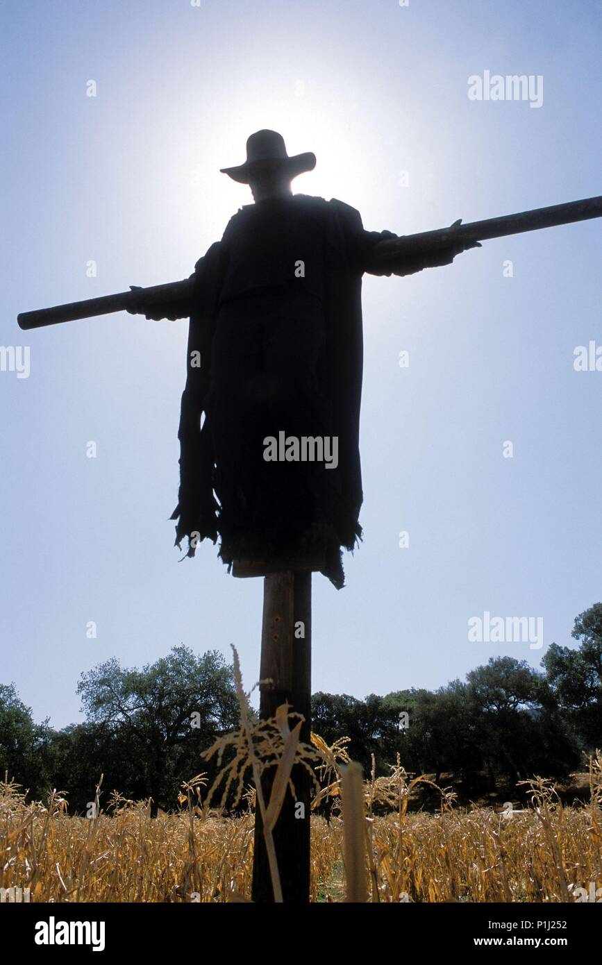 Original Film Title JEEPERS CREEPERS II. English Title JEEPERS