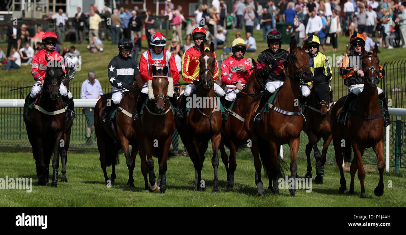 The field gather start bangor on dee racecourse hi-res stock ...